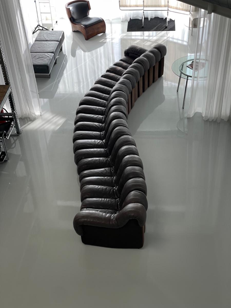 DS-600 Non-Stop Snake sofa De Sede brown leather, Switzerland 1970s