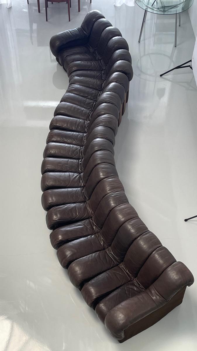 DS-600 Non-Stop Snake sofa De Sede brown leather, Switzerland 1970s