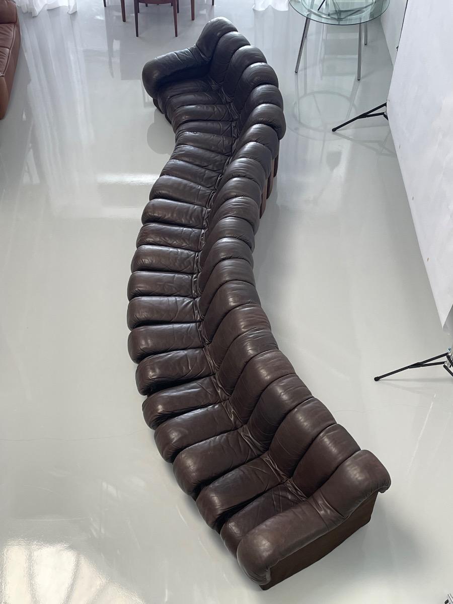 DS-600 Non-Stop Snake sofa De Sede brown leather, Switzerland 1970s