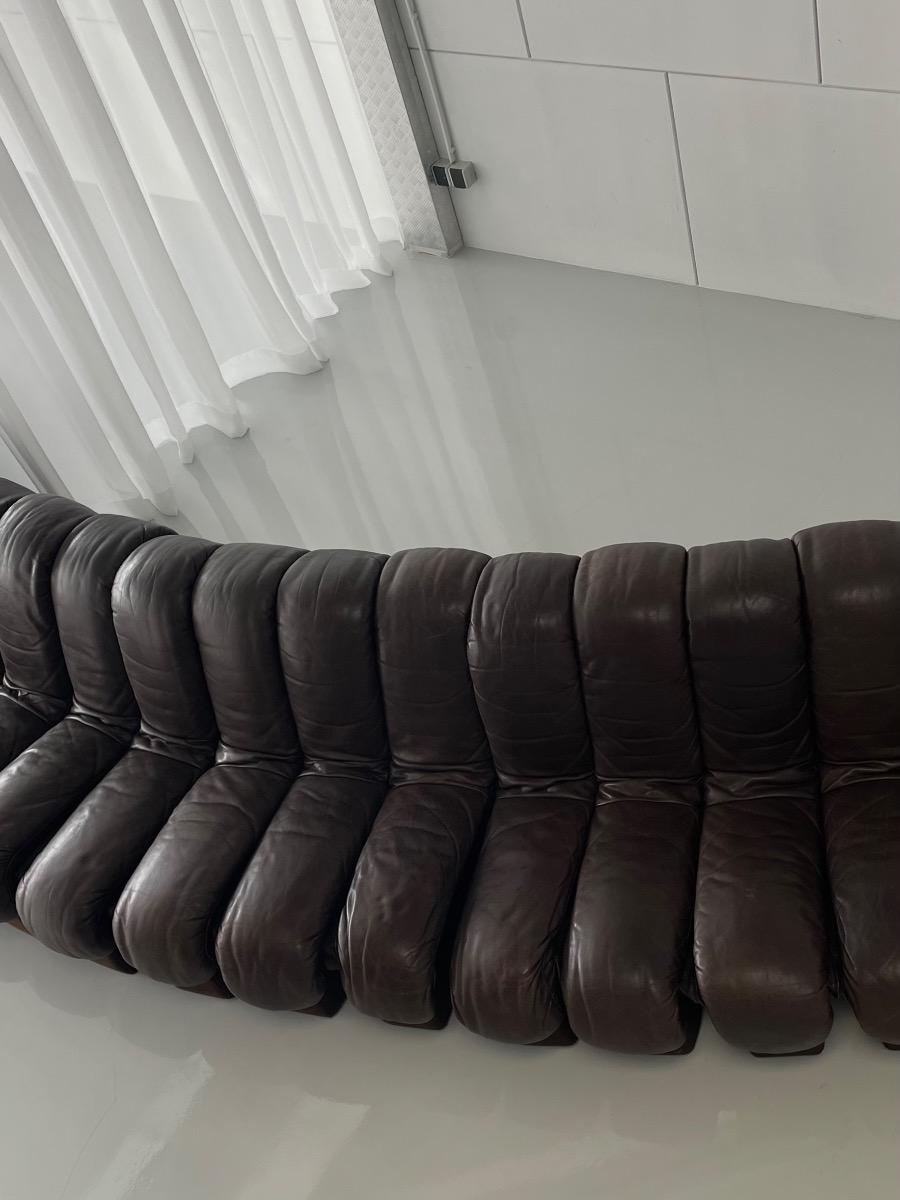 DS-600 Non-Stop Snake sofa De Sede brown leather, Switzerland 1970s