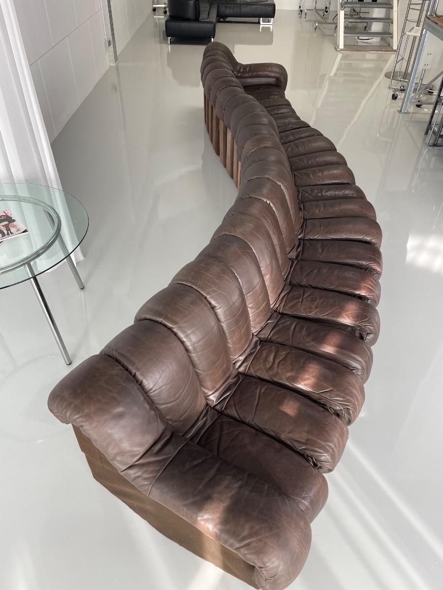 DS-600 Non-Stop Snake sofa De Sede brown leather, Switzerland 1970s