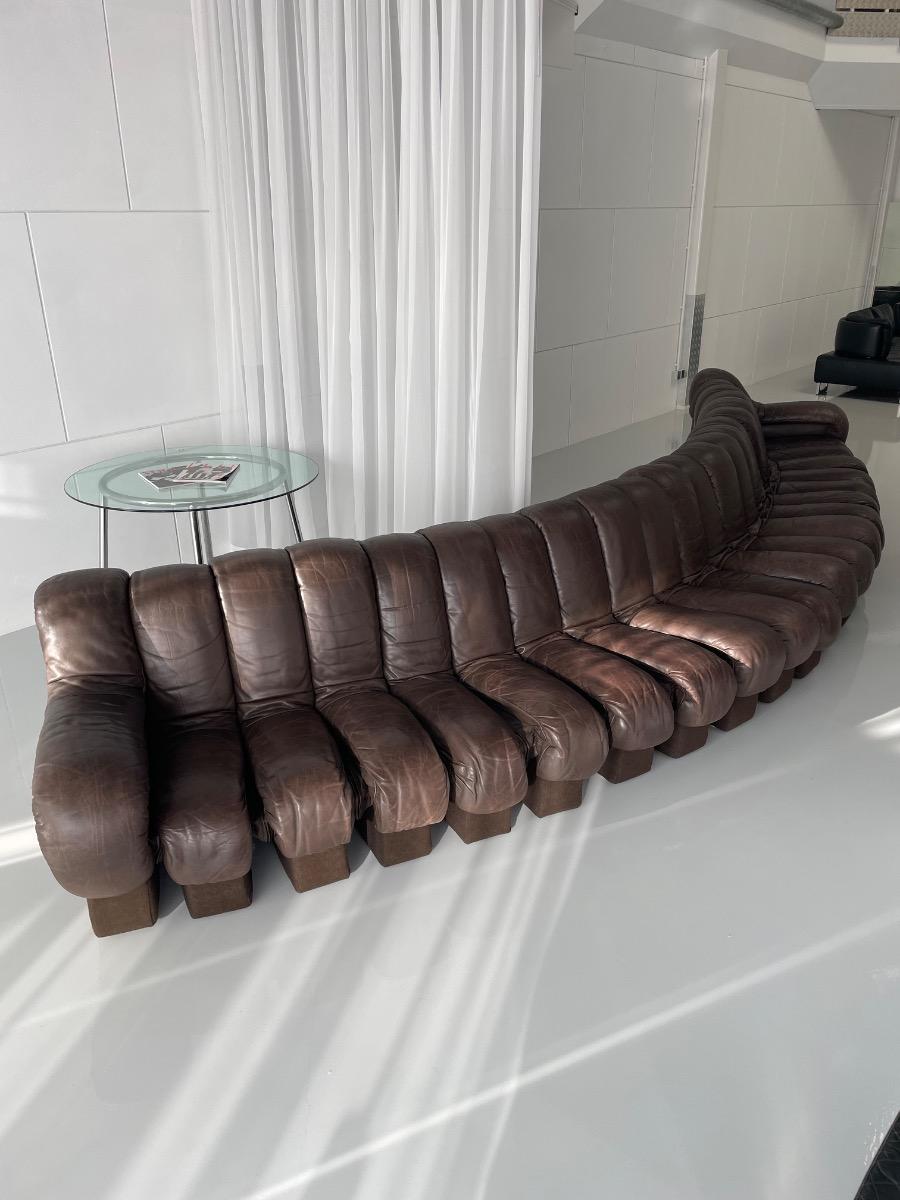 DS-600 Non-Stop Snake sofa De Sede brown leather, Switzerland 1970s