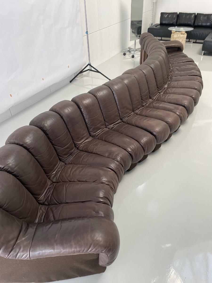 DS-600 Non-Stop Snake sofa De Sede brown leather, Switzerland 1970s