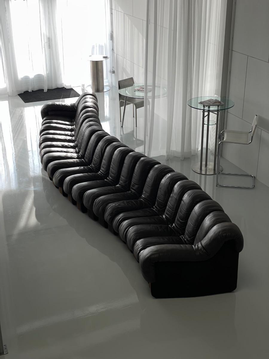 DS-600 Non-Stop Snake sofa De Sede brown leather, Switzerland 1970s