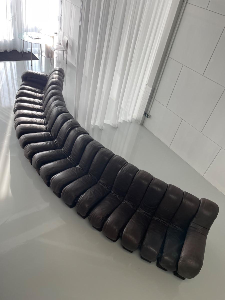 DS-600 Non-Stop Snake sofa De Sede brown leather, Switzerland 1970s