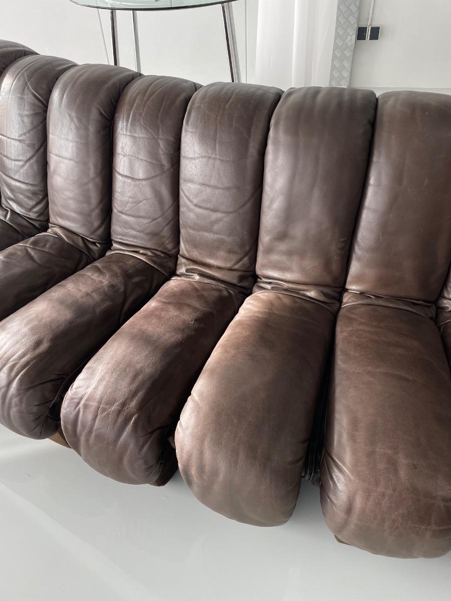 DS-600 Non-Stop Snake sofa De Sede brown leather, Switzerland 1970s