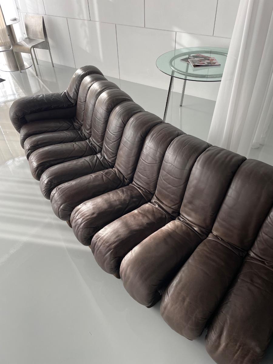 DS-600 Non-Stop Snake sofa De Sede brown leather, Switzerland 1970s