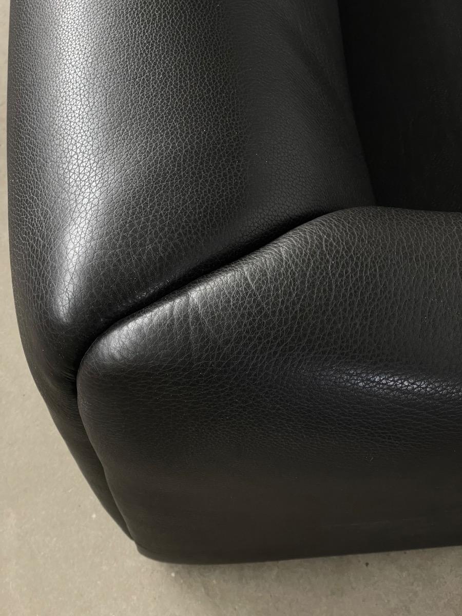 Vintage 2-seat sofa DS-47 De Sede, 1980s