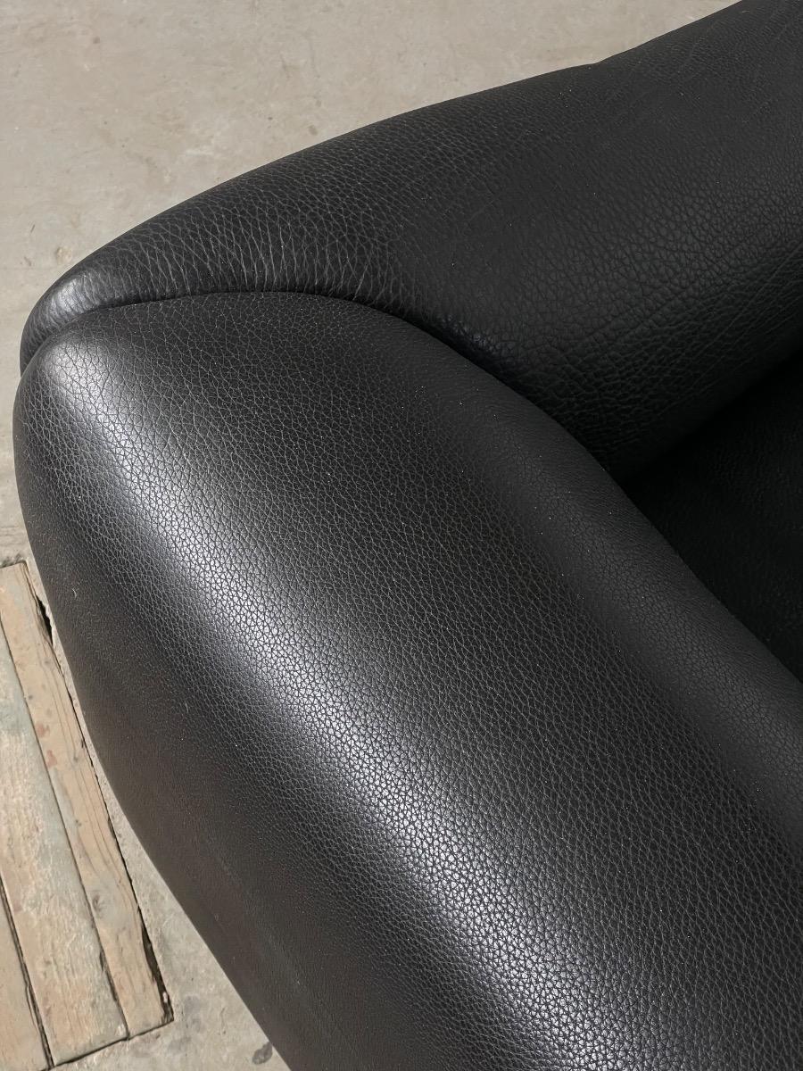 Vintage 2-seat sofa DS-47 De Sede, 1980s