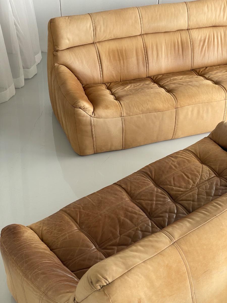 Vintage 2-seat sofa Rolf Benz in Cognac Leather, 1960s - 1st edition
